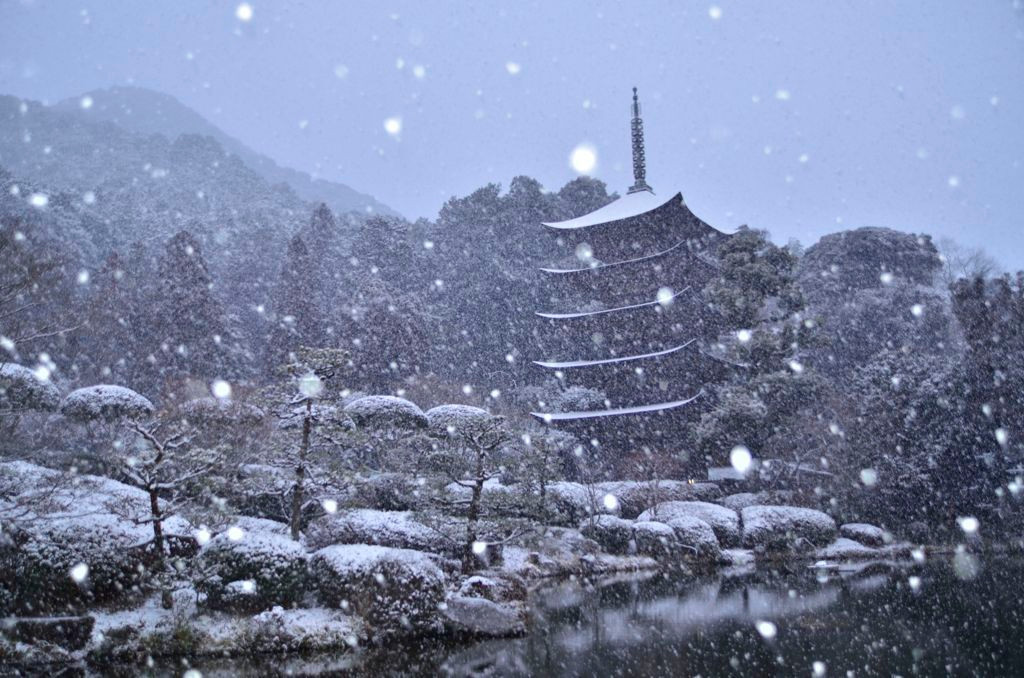 山口きっての観光スポットであり梅の名所「瑠璃光寺（るりこうじ）」879231