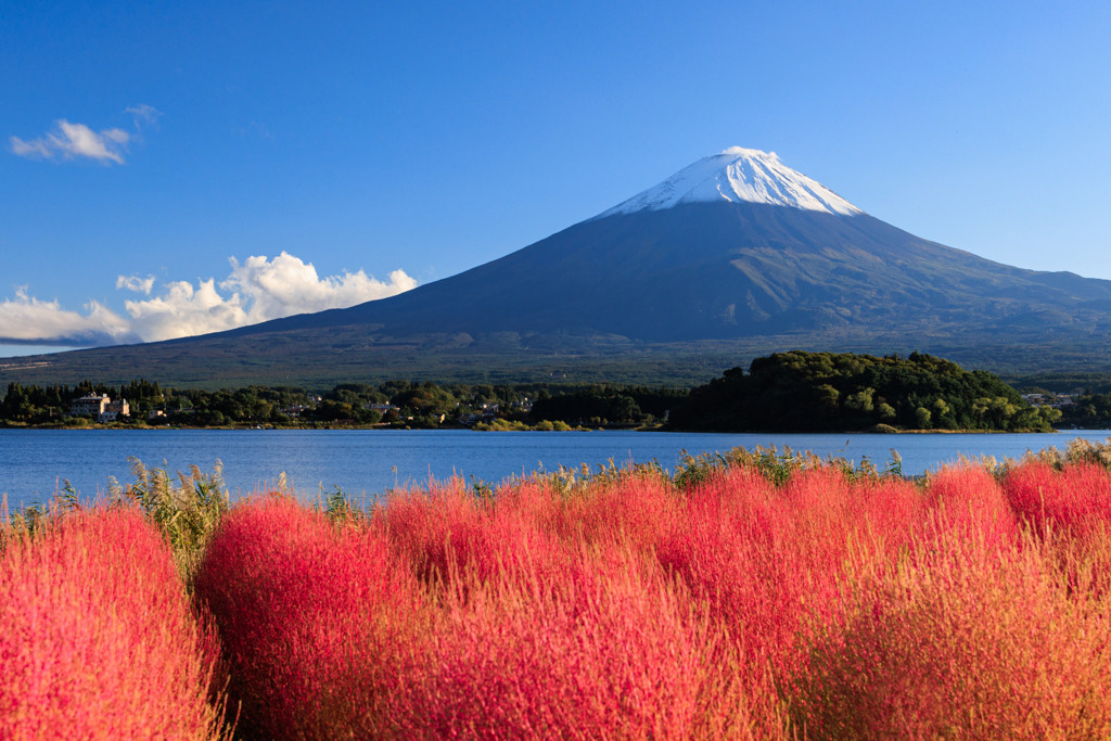 自然を堪能♡2人きりの特別な思い出づくり4021203