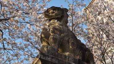 観光スポット / 17