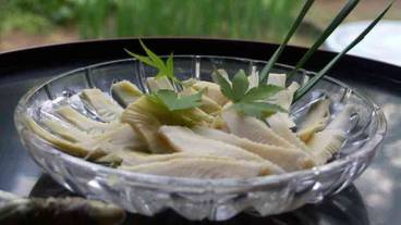 食事・飲み物 / 16