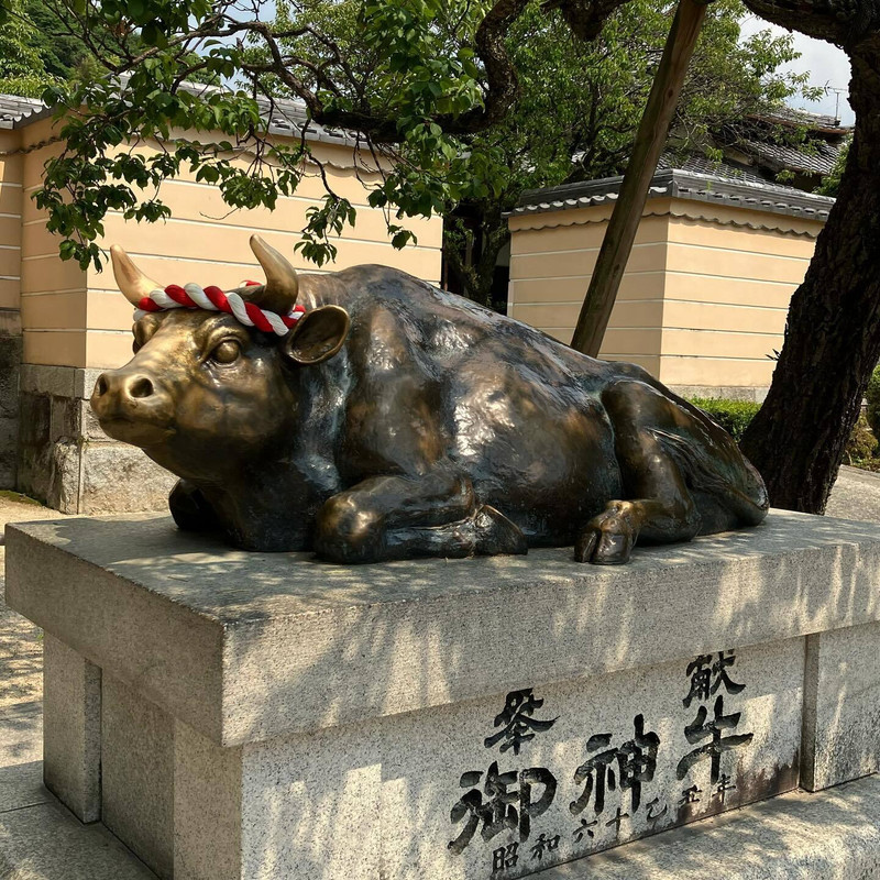 tukino.kakeraさんの写真 / 3