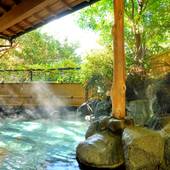 四季を味わう宿 山の茶屋（神奈川県 旅館） / 5