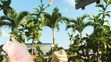 施設の敷地 / 21