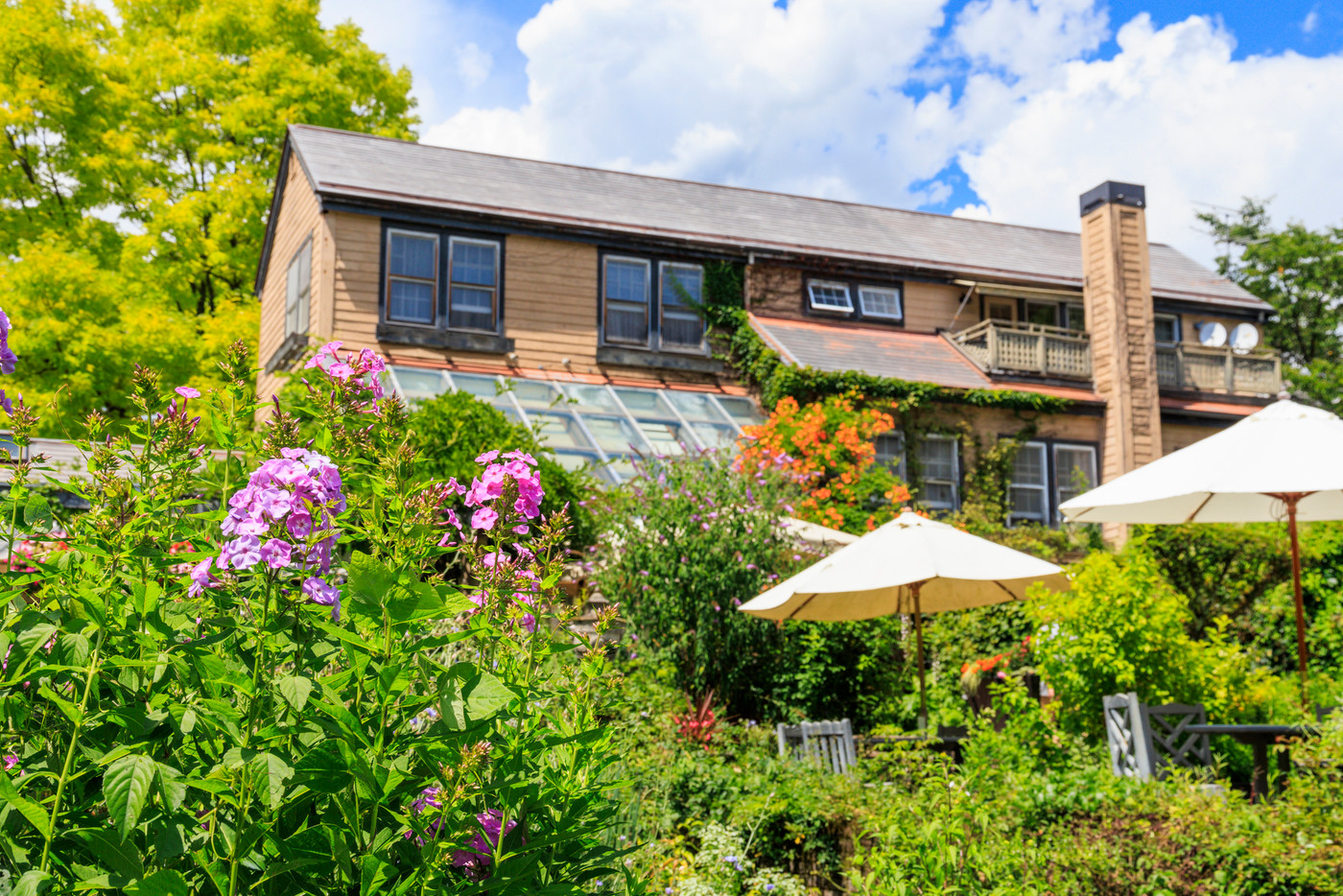 夏の花々満開の蓼科高原　バラクラ イングリッシュ ガーデン