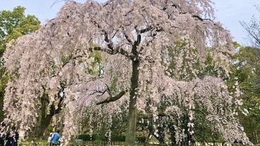 観光スポット / 8