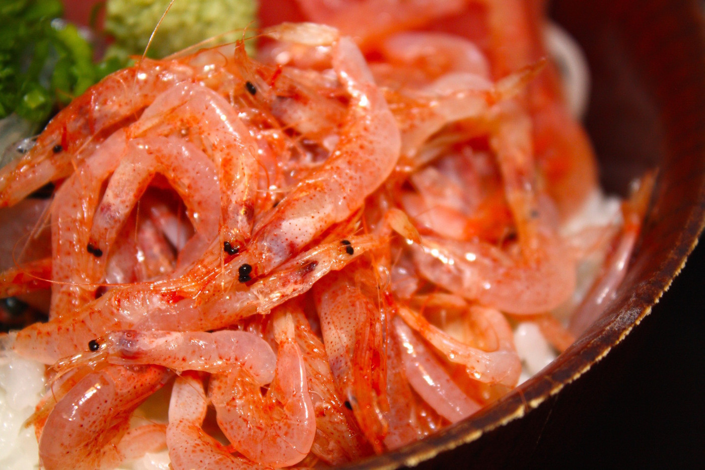 「玉鉾」料理 999427 生桜えび アップ！新鮮で美味しい！