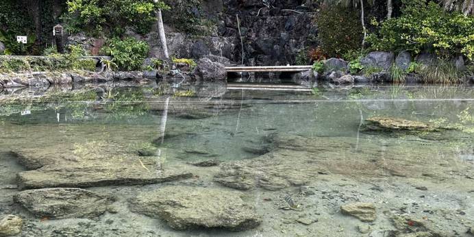 スパリゾート 奄美山羊島ホテル（鹿児島県 リゾートホテル） / 1