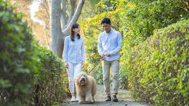 ペット同伴可 / 4