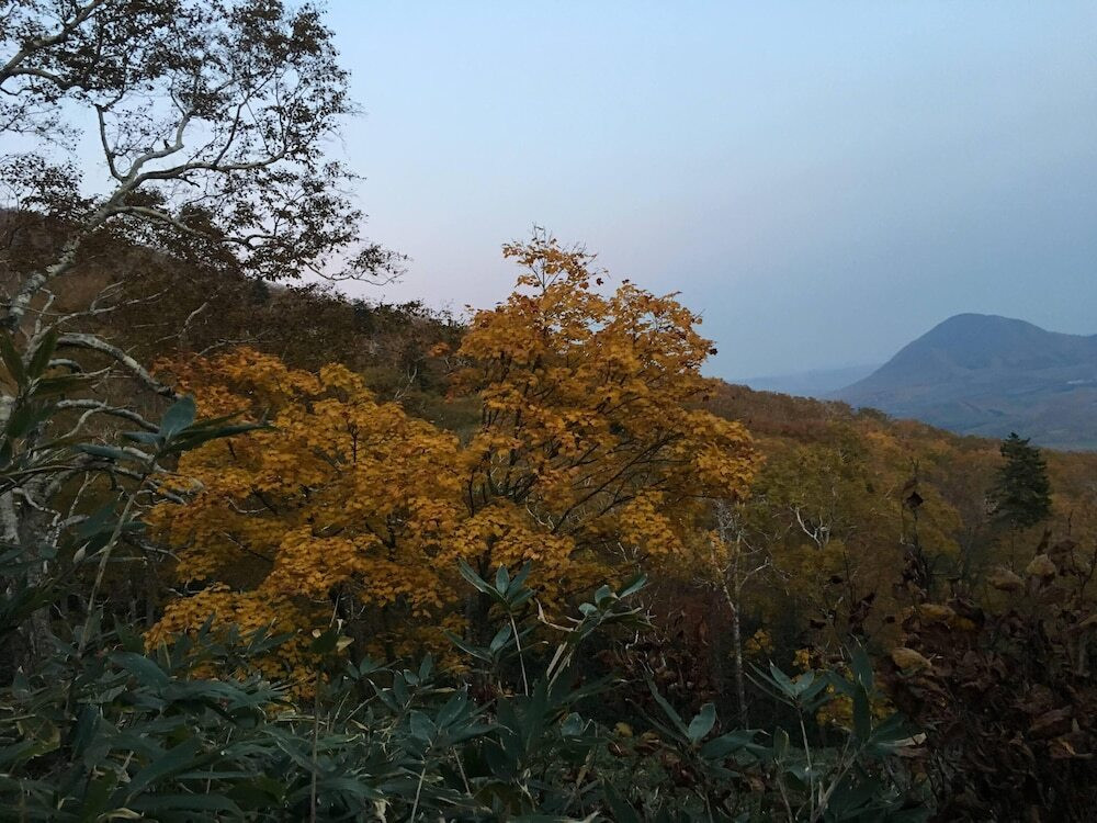 ハイキング