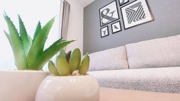 リビング エリア / 38