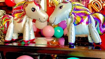 客室の設備とサービス / 22