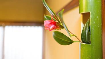 内装の詳細 / 10