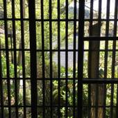 雲竜荘（愛知県 旅館） / 3