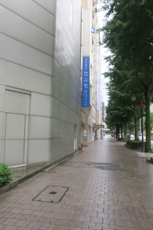 ブルーの看板のもう一つ向うの看板のところ。