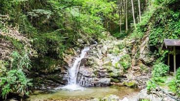 ランド ビュー / 12