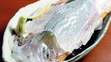 シティ ビュー / 30