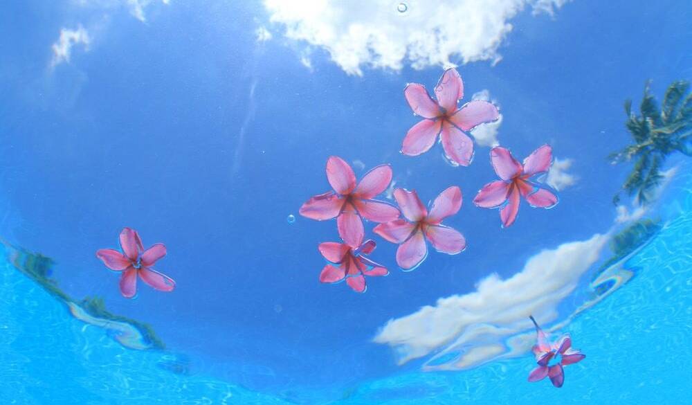 ハンモックや
プールでリラックス / 3