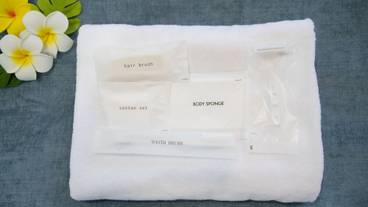 客室の設備とサービス / 31