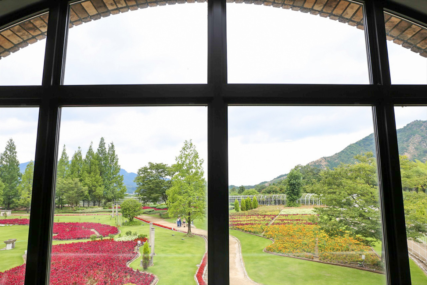 窓から見える景色は、美しい庭園でした。
