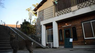 メイン イメージ / 1