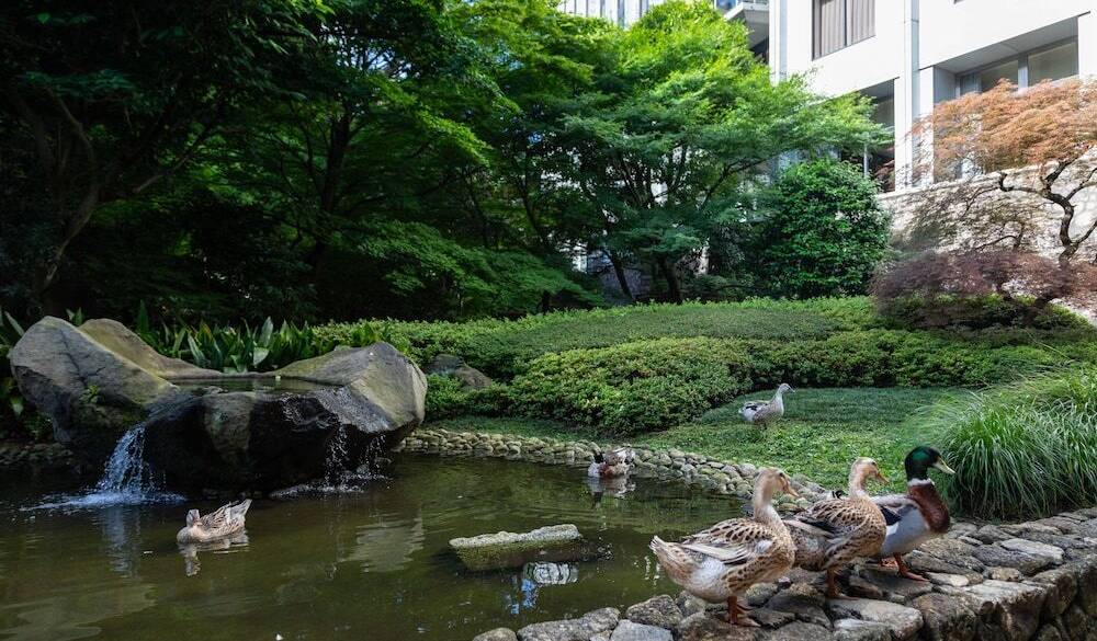 部屋でくつろいだ後は、
都会のオアシスへ / 4