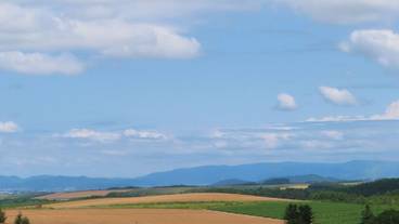 マウンテン ビュー / 9