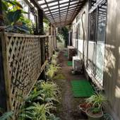 ガーデン荘（東京都 民宿） / 2