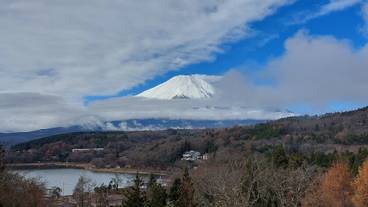 ランド ビュー / 24