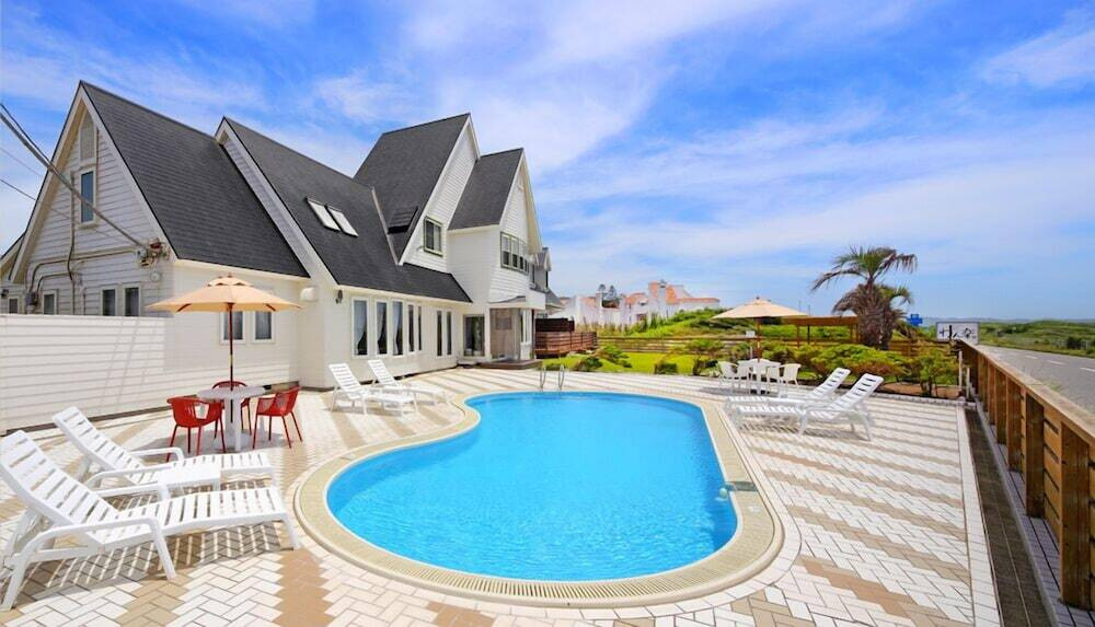 ワンコと遊べるプールも！3392445