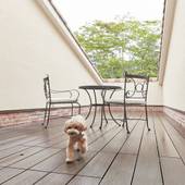 ルシアン旧軽井沢（長野県 リゾートホテル） / 2