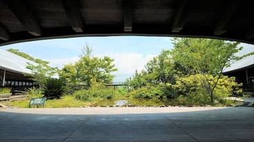 ランド ビュー / 37