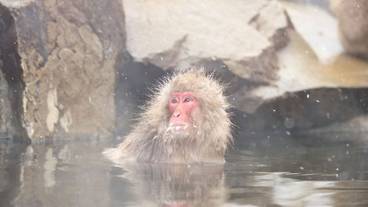 観光スポット / 13