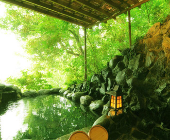 緑に包まれる「まめの間」の岩露天！3438227