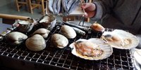 千葉・九十九里といえば浜焼き！絶品ハマグリが食べられる人気店