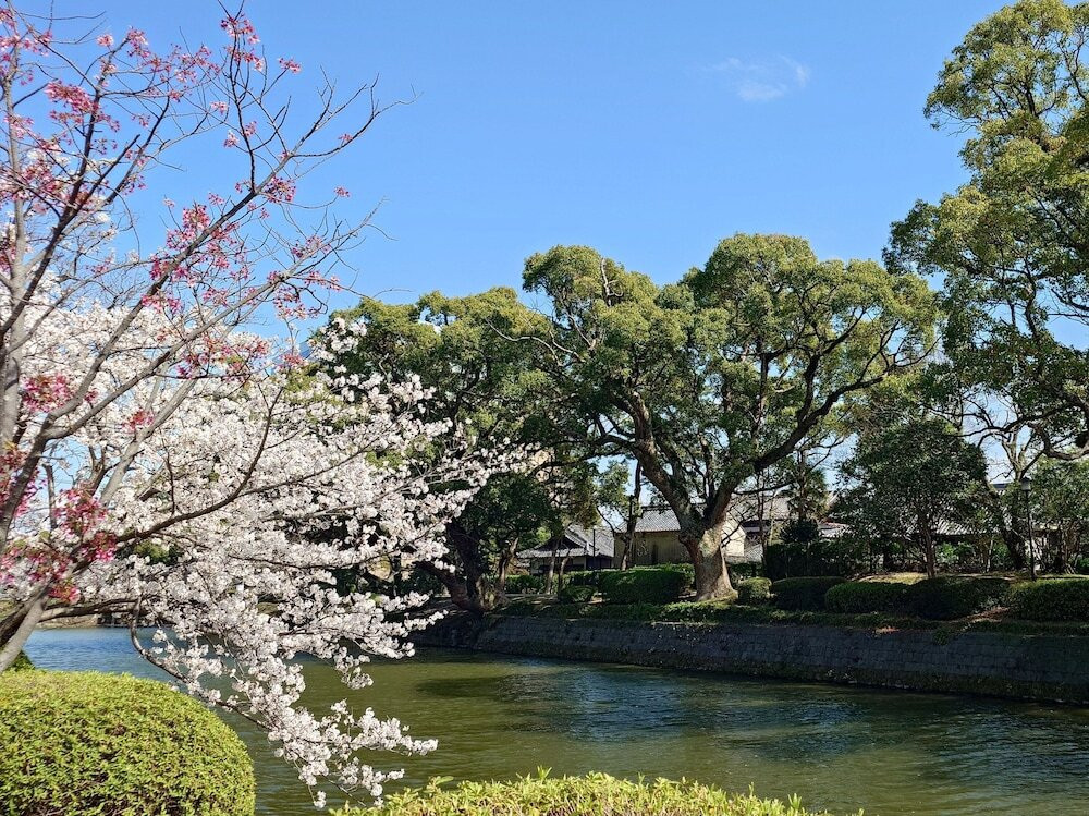 ランド ビュー