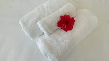 客室の設備とサービス / 14