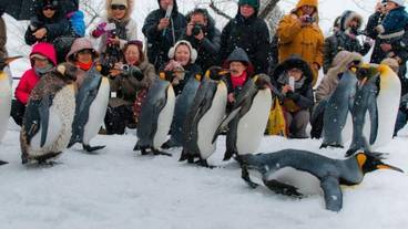 スノー スポーツとスキー / 1