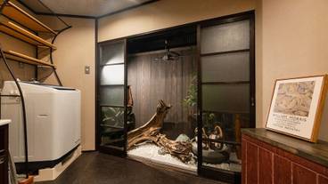 テラス / パティオ / 30