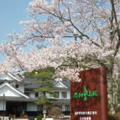 岩村山荘（岐阜県 旅館） / 4