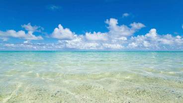 観光スポット / 24