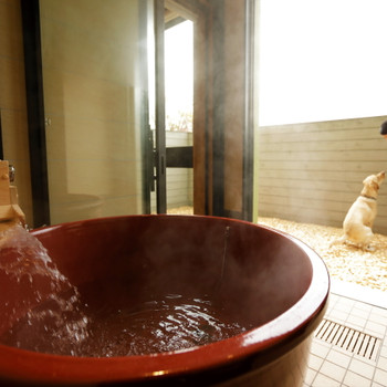 愛犬と食事も遊びも一緒にできる♪贅沢なプライベート空間4071123