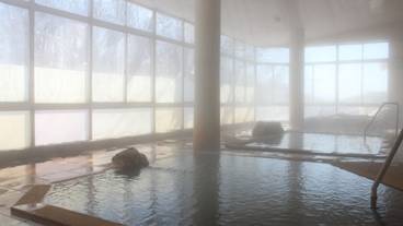 屋内スパ浴槽 / 5