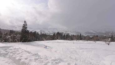 スノー スポーツとスキー / 1