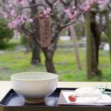 小山田茶店（オヤマダチヤテン）