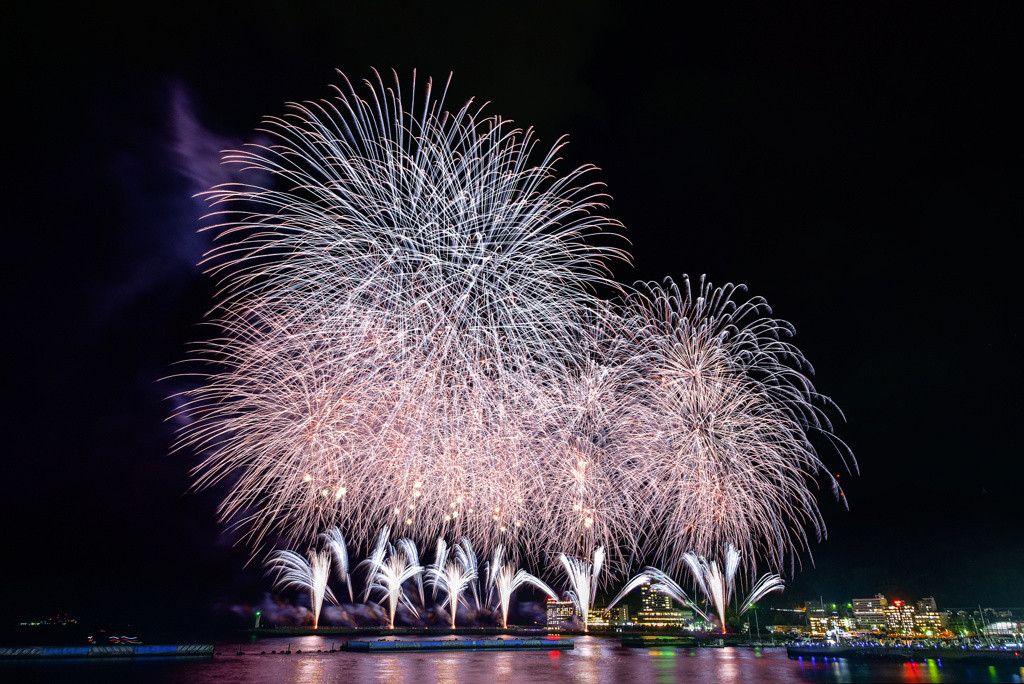 熱海　糸川沿いの熱海桜