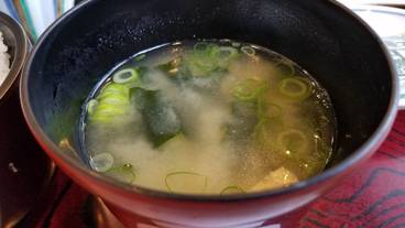 食事・飲み物 / 13