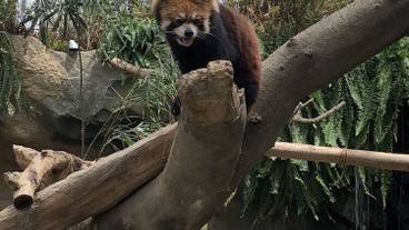 観光スポット / 10