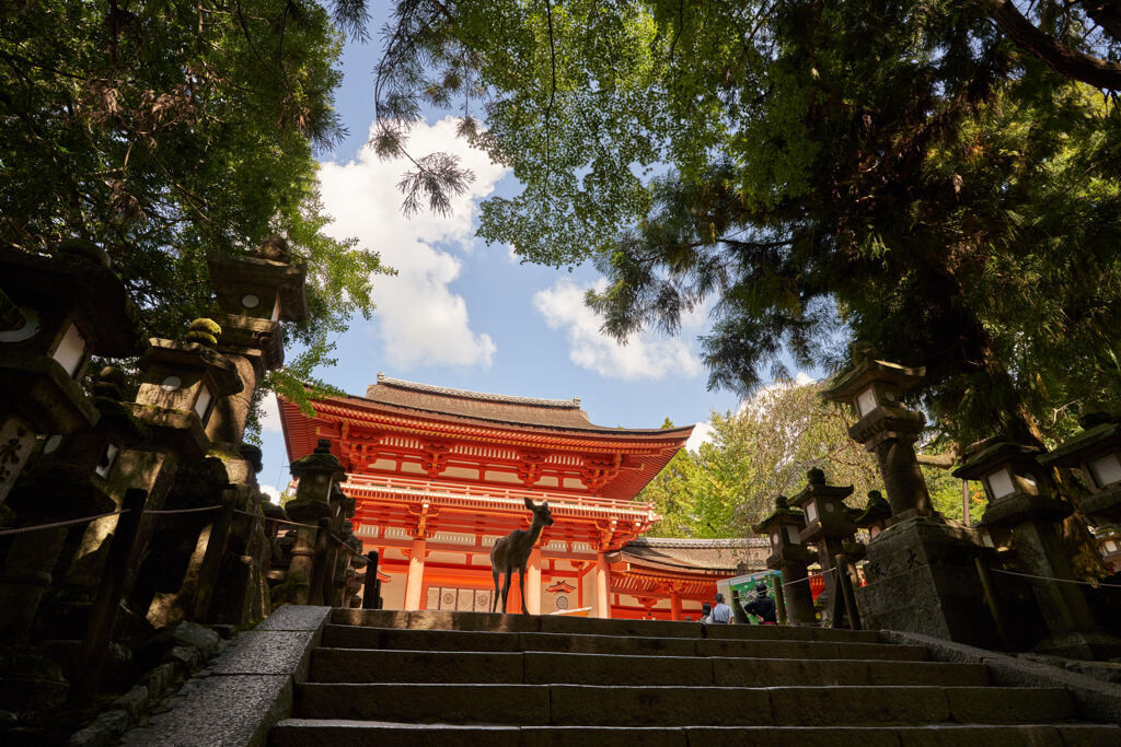 朱色がまぶしい社殿や貴重な国宝のある国宝館が見逃せない！「春日大社」3725345