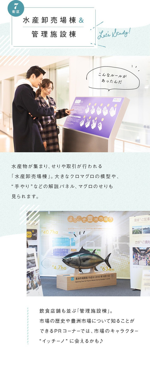 海鮮グルメも満喫　豊洲へアクティブデート - 5