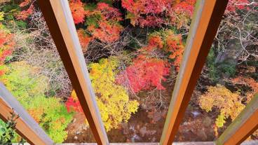 施設からの眺望 / 6